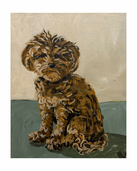 Painting of a brown sweet  Cavoodle dog sitting for a portrait on a green and taupe textured linen canvas